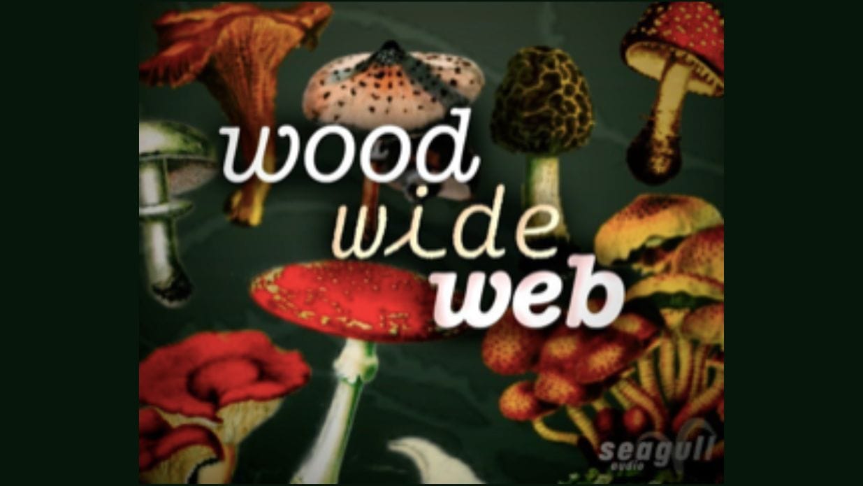 Seagull Productions presents Wood Wide Web (Work In Progress)
